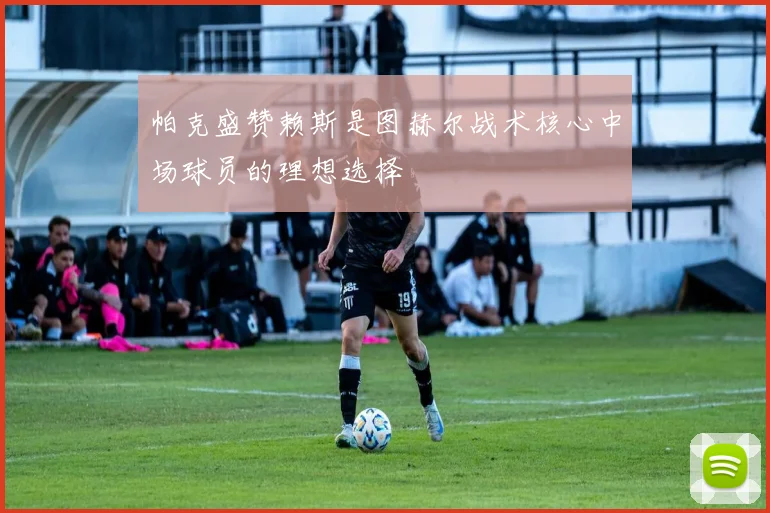 帕克盛赞赖斯是图赫尔战术核心中场球员的理想选择