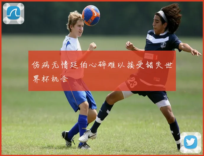 伤病无情廷伯心碎难以接受错失世界杯机会